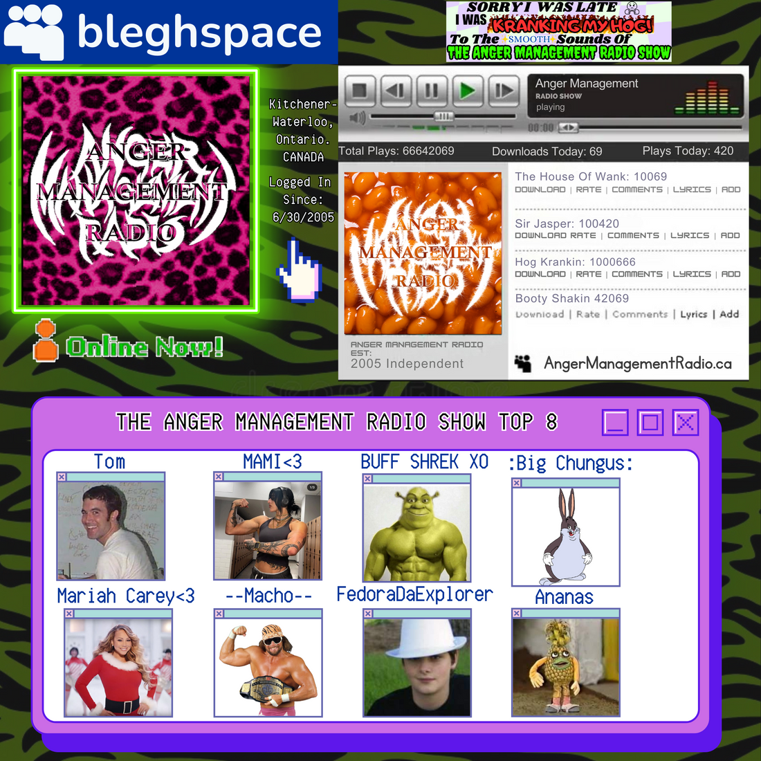 Anger Management Radio Show with a Myspace Inspired design
